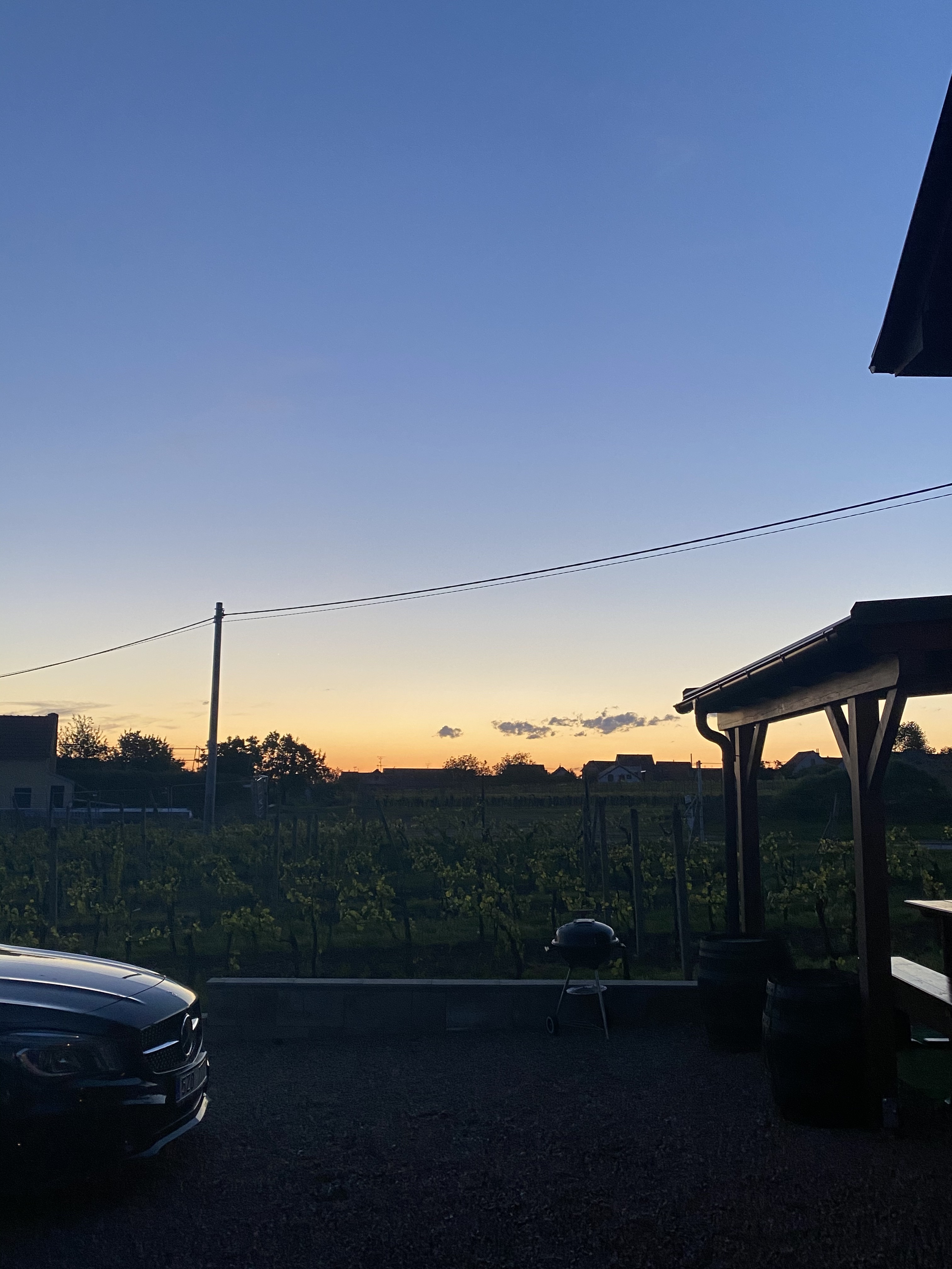 Vinný sklep mezi vinicemi