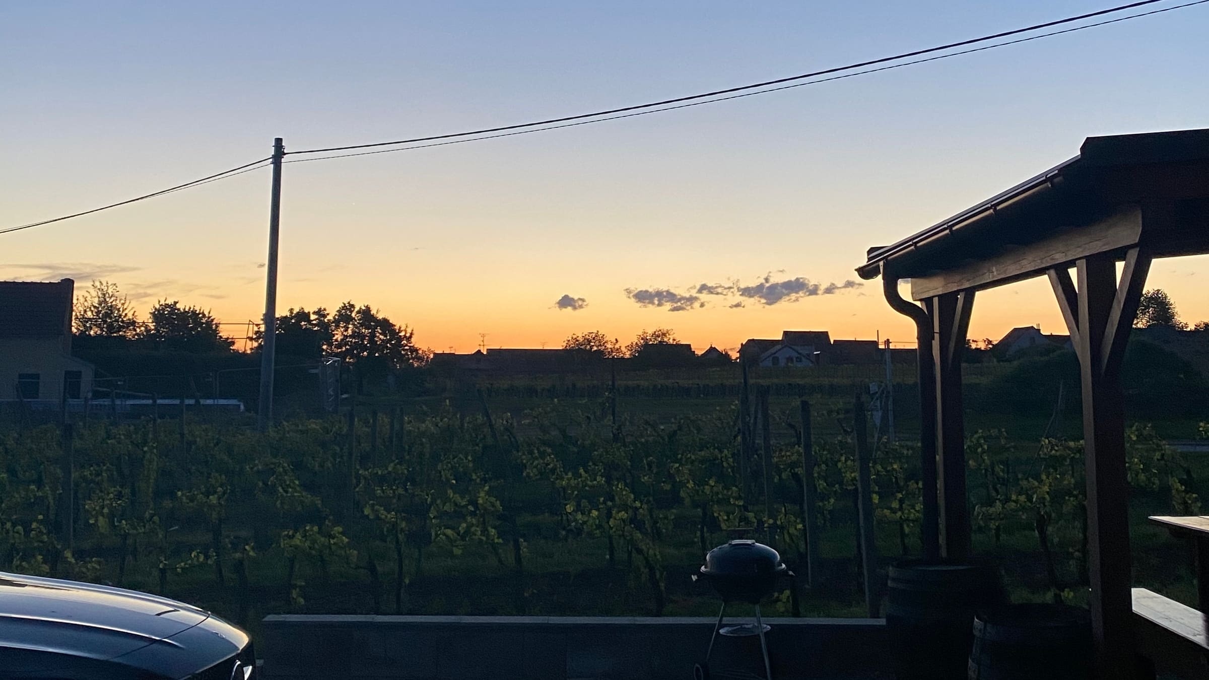 Vinný sklep mezi vinicemi